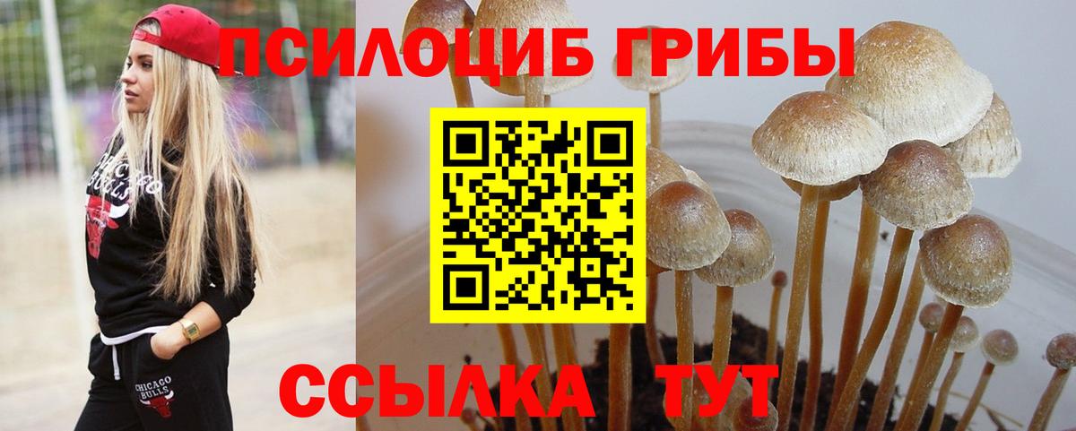 Новосибирск  Галлюциногенные грибы GOLDEN TEACHER  Вход с VPN 