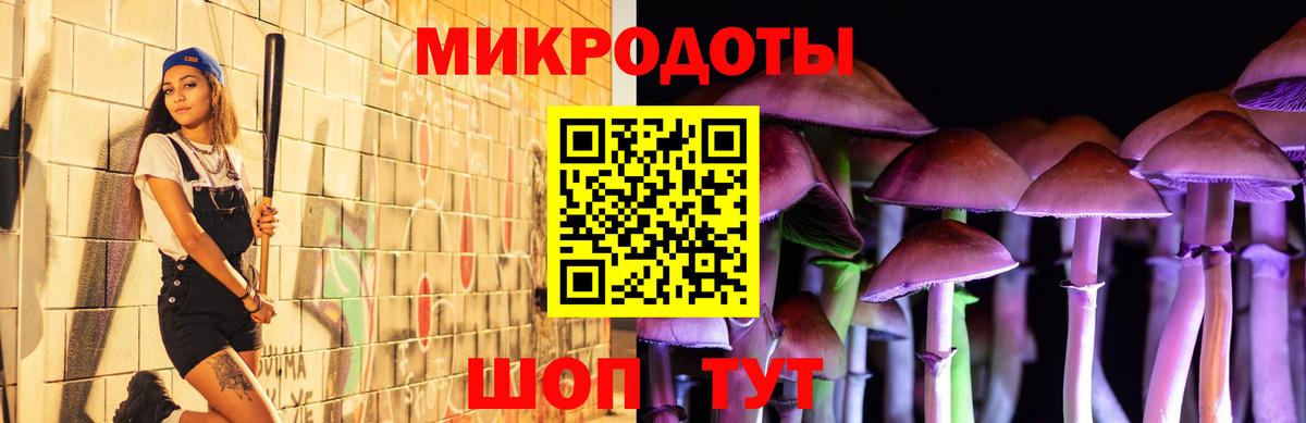 Галлюциногенные грибы мухоморы Новосибирск